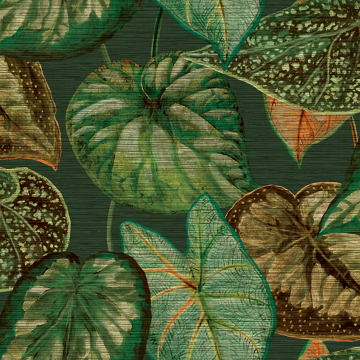 Carta da parati collezione Foglie green-brown